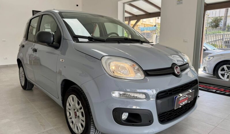 
								Fiat Panda full									