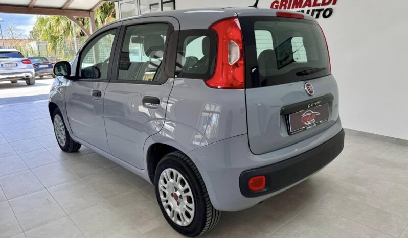 
								Fiat Panda full									
