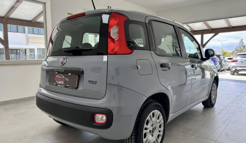 
								Fiat Panda full									