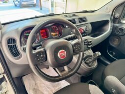 
										FIAT PANDA full									