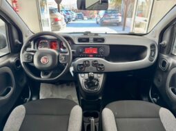 
										FIAT PANDA full									