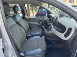 
										FIAT PANDA CITY CROSS full									