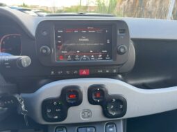 
										FIAT PANDA CITY CROSS full									