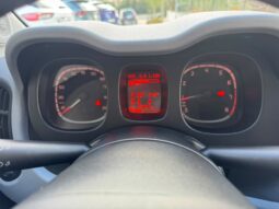 
										FIAT PANDA CITY CROSS full									