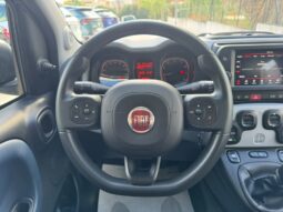 
										FIAT PANDA CITY CROSS full									